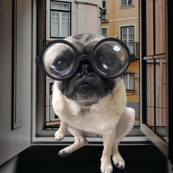 Always Welcome To Reasonable Offers - Picture 2 of 2